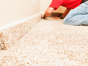 Carpet Cleaning Article