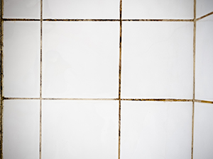 Cleaned versus Dirty Grout Bathroom Tiles